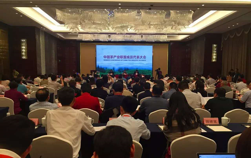 ׽йʲҶϵб֮         ӮVWINѡйҵ˸³λ