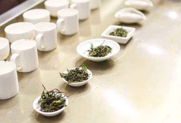 ʡũھ׽ȫԱְҵܾ㽭ѡߡӮVWIN㱭㽭ʡ׽Աְҵܾ֪ͨ