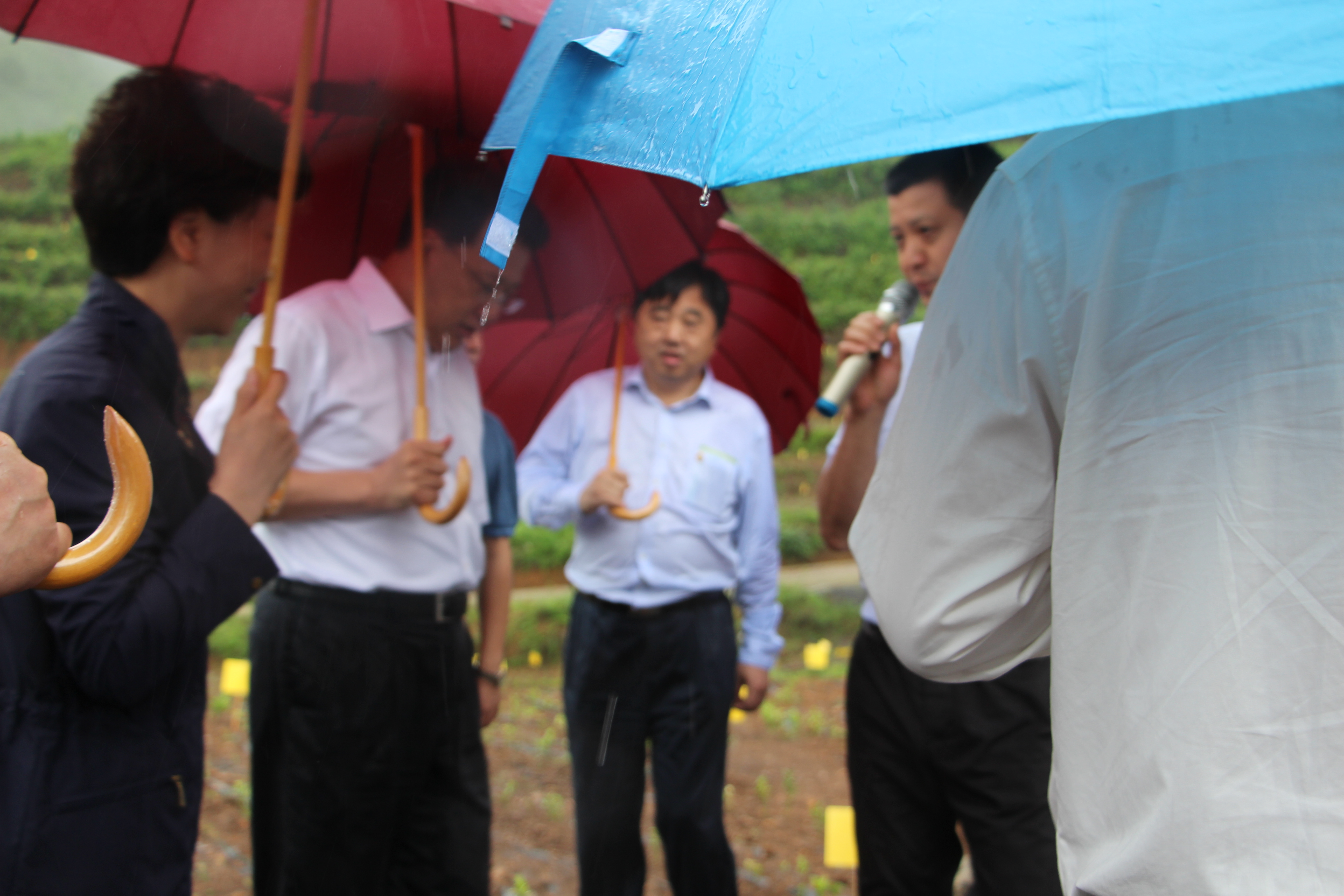 ԬҾʡӮVWINŹհҶһšֲ