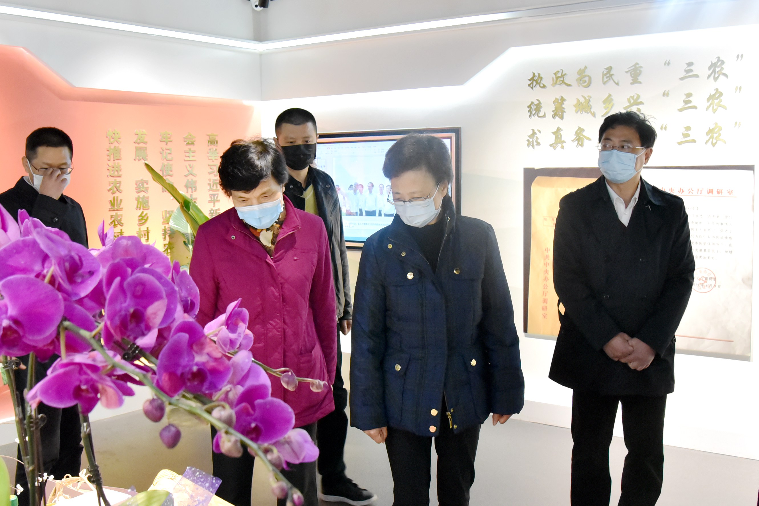 㽭ʡ˴ίһݰٵӮVWINŵ