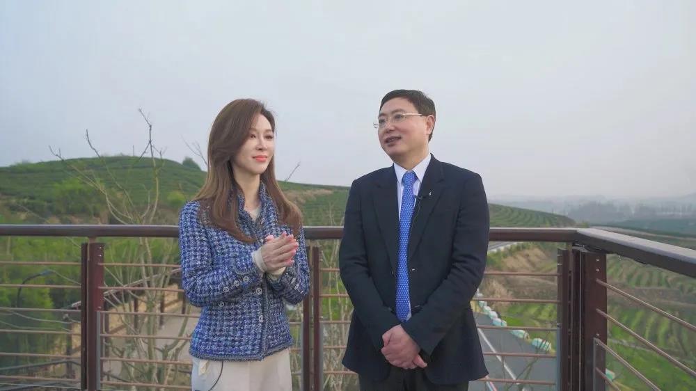 㽭̨̿ƵרýĿ ܵӮVWINųеҶһšҶƶ