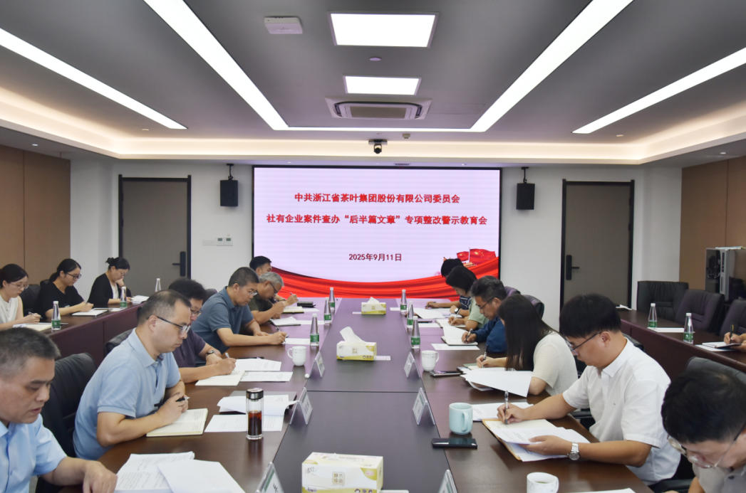 德赢VWIN集团党委召开社有企业案件查办“后半篇文章”专项整改警示教育会 德赢VWIN集团党委召开社有企业案件查办“后半篇文章”专项整改警示教育会